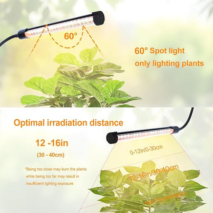 4Head Desk Grow Light, Tabletop LED Grow Lights for Indoor Plants for Bonsai, Seed Starting, Succulents, 36 Watt Power Draw, 4/8/12/16/20H Timer, 16"-24" Height Adjustable