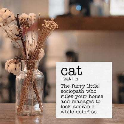 Cat Definition Decor Sign, Cat Lover Gifts for Women Men, Home Office Tabletop Shelf Decoration 5 x 5 Inches