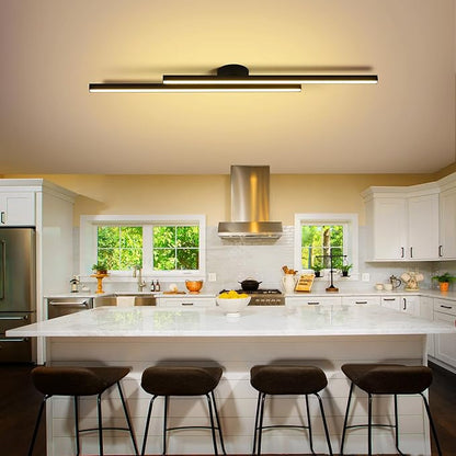 Black Modern LED Ceiling Light Fixtures with Remote 3000K/4500K/6000K Close to Ceiling Lights Creative Design Ceiling Lamp for Bedroom Kitchen Living Room Dining Room (32W, 2 Lights)