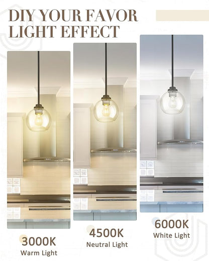 Matte Black Pendant Light, Mid Century Globe Haning Light Fixture Ceiling with Clear Glass for Kitchen Island Dining Room Bedroom Hallway Foyer (2 Pack), PL101BK-2PK