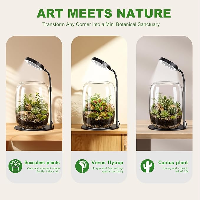 7X Aperture Grow Light for Indoor Plants, Mini Desk Grow Light with Glass Terrarium for Small Plants, Succulents & Moss, Height Adjustable Plant Growing Lamp for Home Office Gift