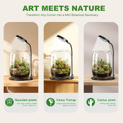 7X Aperture Grow Light for Indoor Plants, Mini Desk Grow Light with Glass Terrarium for Small Plants, Succulents & Moss, Height Adjustable Plant Growing Lamp for Home Office Gift