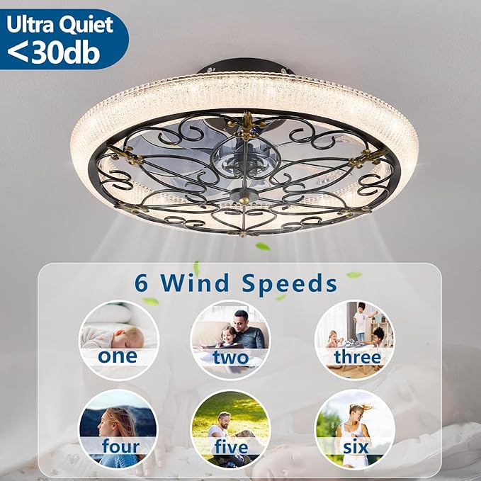 Black Caged Ceiling Fan with Lights Remote Control, 6 Speeds Rustic Industrial Ceiling Fan Light with Crystal Sand Lampshade for Kitchen Bedroom Living Room