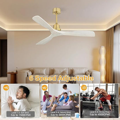 Sofucor Smart Ceiling Fan no Lights, 52" Low Profile Ceiling Fans with Remote, Compatible with Alexa/Google/App, 6-Speed Timing Reversible DC Motor for Bedroom Living Room Patio Indoor Outdoor