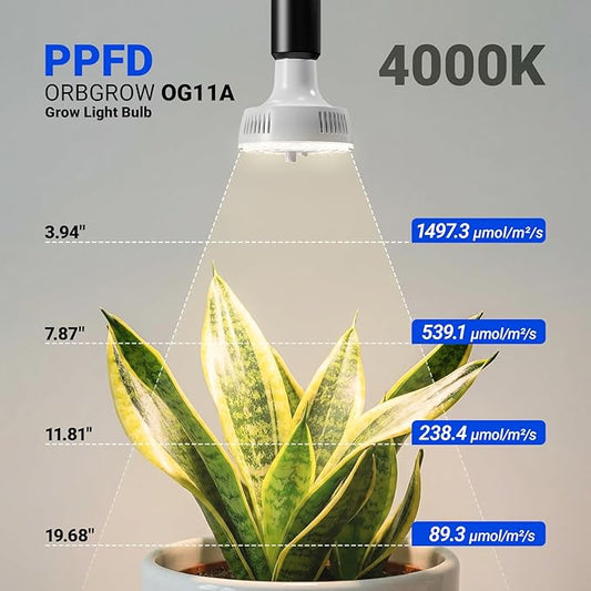 Barrina Orbgrow OG11A Grow Light Bulbs for Indoor Plants, Integrated Dimming & Timing, 4000K 33W(3 x 11W, 300 Watt Equiv), E26 Plant Light Bulb, Full Spectrum for Seeds and Greens, 3 Packs, White