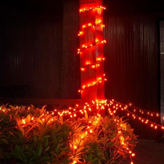 TIGOMOOV 100 Count Orange String Lights Plug in, 21ft Fall Lights with Black Wire, Orange Lights for Halloween Decorations Indoor, Mini String Lights Outdoor Tree Porch,Party Decor