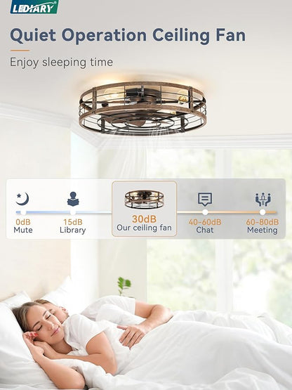 LEDIARY 26 inch Fandelier Caged Ceiling Fan with Light, Bladeless Ceiling Fan with Remote, Farmhouse Fan Lights Ceiling Fixtures for Kitchen, Bedroom, Outdoor(6 Speed, Timing)-Black and Gold
