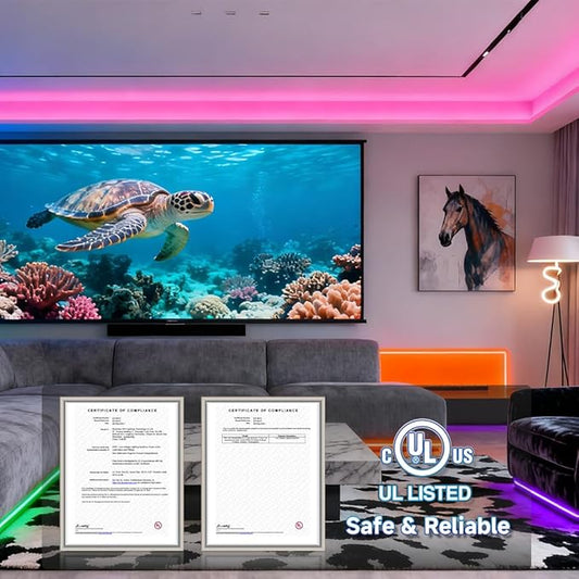 BTF-LIGHTING WS2805 IC RGBCCT Addressable Dual Data LED Strip 5050SMD 16.4FT 60LED/m 10Pixel/m,UL Listed,5 Colors in 1 Chasing Color RGB+CCT 3000K-6500K IP30 DC24V(No Adapter or Controller)