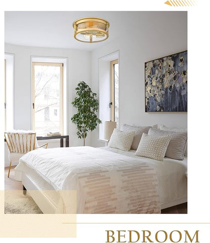 Flush Mount Ceiling Light Fixture, 2 - Lights Farmhouse Ceiling Light, Industrial Seeded Glass Light Fixtures with Metal Cage for Hallway Porch Corridor Kitchen Bathroom Bedroom Passway - Gold