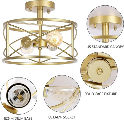 2-Light Semi Flush Mount Matte Gold Ceiling Light Fixture, Farmhouse Industrial Metal Cage with Adjustable Height, Dimmable for Hallway Entryway Kitchen Bedroom Foyer Laundry Low Ceiling
