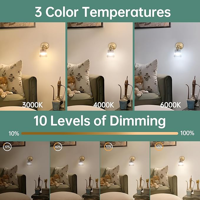 Shenmoyl Vintage Battery Operated Wall Sconce with Transparent Stripe Glass Lampshade Rechargeable Battery Powered Wall Light with Remote Control for Bedside Bedroom Doorway