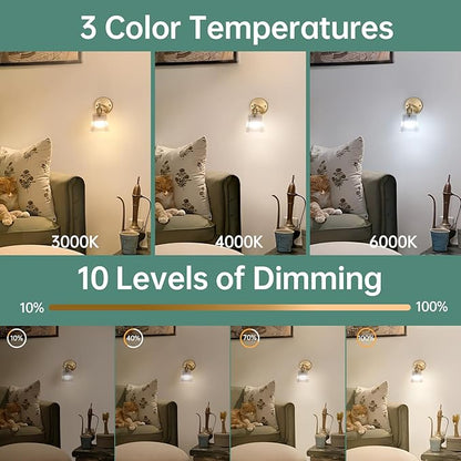 Shenmoyl Vintage Battery Operated Wall Sconce with Transparent Stripe Glass Lampshade Rechargeable Battery Powered Wall Light with Remote Control for Bedside Bedroom Doorway