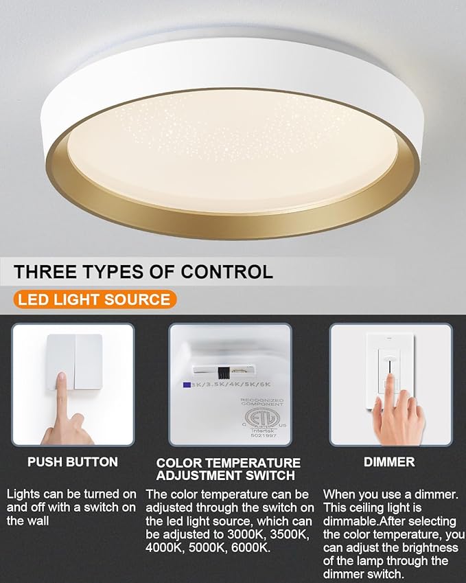 ANYLOVE 10 Inch Modern Flush Mount Ceiling Lights,White Gold Plastic Round Ceiling Light,Dimmable 3000K,3500K,4000K,5000K,6000K,for Living Room,Dining Room,Bedroom,Kitchen (White and Gold, 10 Inch)