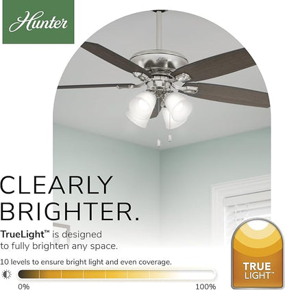 Hunter 52 inch Indoor Ceiling Fan with LED Lights - Ceiling Fan with Pull Chain, For Bedroom or Living Room, Standard Mount, No Remote, 5 Blades, Includes Bulbs - Amberlin 53216, Brushed Nickel