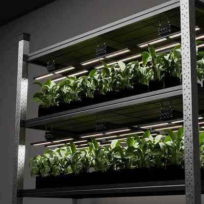 320W LED Grow Light with 7 Adjustable Spectrums (UV & IR), Dimmable Full Spectrum Plant Lamp for 3x3 ft Coverage, High-Efficiency Diodes for Indoor Seeding to Harvest, Silent Operation