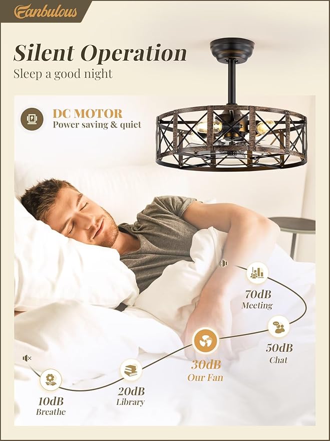 Fanbulous 20 Inch Fandelier Caged Ceiling Fans with Lights and Remote, Black Farmhouse Ceiling Fan, Bladeless Samll Fan Lights Ceiling Fixtures for Kitchen, Bedroom-Black and Gold
