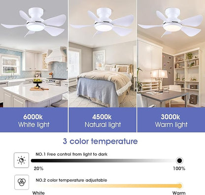 Kviflon 32 Inch Modern Ceiling Fans with Lights, Small Flush Mount Ceiling Fan with Light and Remote/APP Control, 5 Reversible 6 Speeds Curved Blades, 3 CCT Dimmable Lights for Kids Room, White