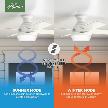 Hunter 44 inch Indoor Ceiling Fan with LED Light and Remote Control - White Modern Ceiling Fan, Low Profile Mount, 4 Blades, For Bedroom, Living Room, or Kitchen, Quiet - Dempsey 59244, Fresh White
