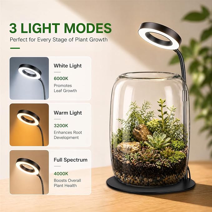 7X Aperture Grow Light for Indoor Plants, Mini Desk Grow Light with Glass Terrarium for Small Plants, Succulents & Moss, Height Adjustable Plant Growing Lamp for Home Office Gift