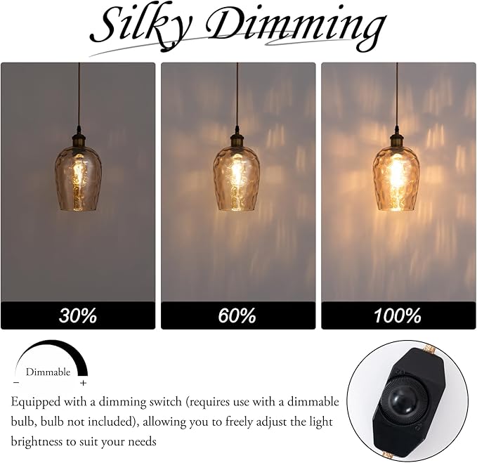 Amber Plug in Pendant Light with Plug in Cord 16.4FT Cord Hand Blown Glass Hanging Lamp with Dimmable Switch E26 Plug in Ceiling Light Fixture for Dining Room Living Room Bar (Bulb not Included)