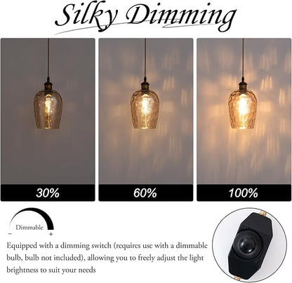 Amber Plug in Pendant Light with Plug in Cord 16.4FT Cord Hand Blown Glass Hanging Lamp with Dimmable Switch E26 Plug in Ceiling Light Fixture for Dining Room Living Room Bar (Bulb not Included)
