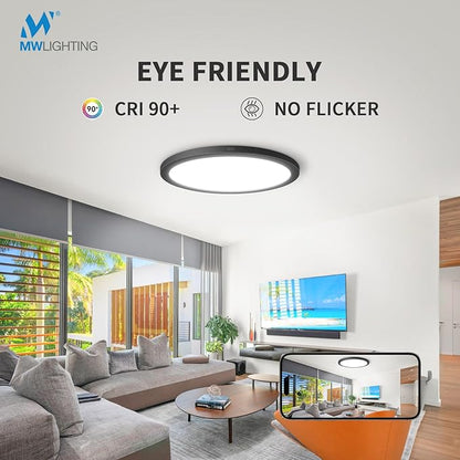mw LED Flush Mount Ceiling Light, 12 Inch Round Black Ceiling Light, 25W 120V 5CCT, Dimmable, Close to Ceiling Light Fixtures for Bedroom, Kitchen, Hallway, Laundry