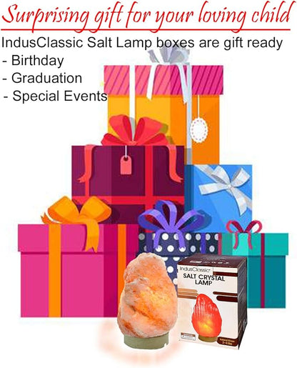 LN-01 Pack of 2 Natural Himalayan Pink Crystal Rock Salt Lamp 6~8 Inch Tall with Dimmer Control Switch, Quality Gift Packaging