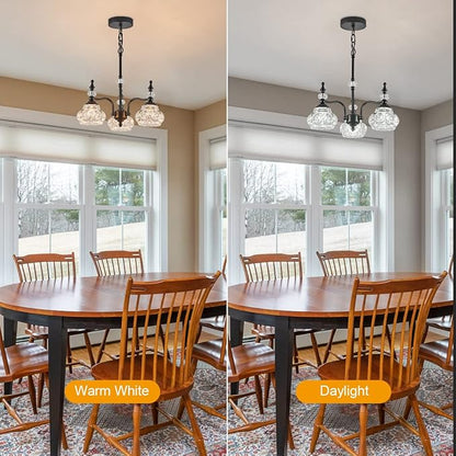 Modern 3-Light Chandeliers Black Kitchen Island Pendant Light for Farmhouse Living Room Bedroom Hotel