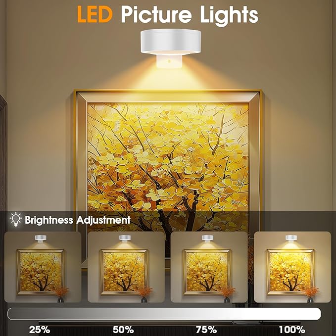 RGB Picture Light Battery Operated Painting Lights for Wall Wireless Magnetic Display Art Light with Remote Controls,Dimmable&Timer for Art Frame Artworking,3Pack White