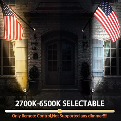 LED Landscape Lights Spot Lights Outdoor for Yard Garden Decor Spotligh with Remote, N~CCT 2700k~6000K IP68 Waterproof Landscape Lights for Yard,Patio,Lawn, Wall, Flood,Driveway (10, Low Voltage)