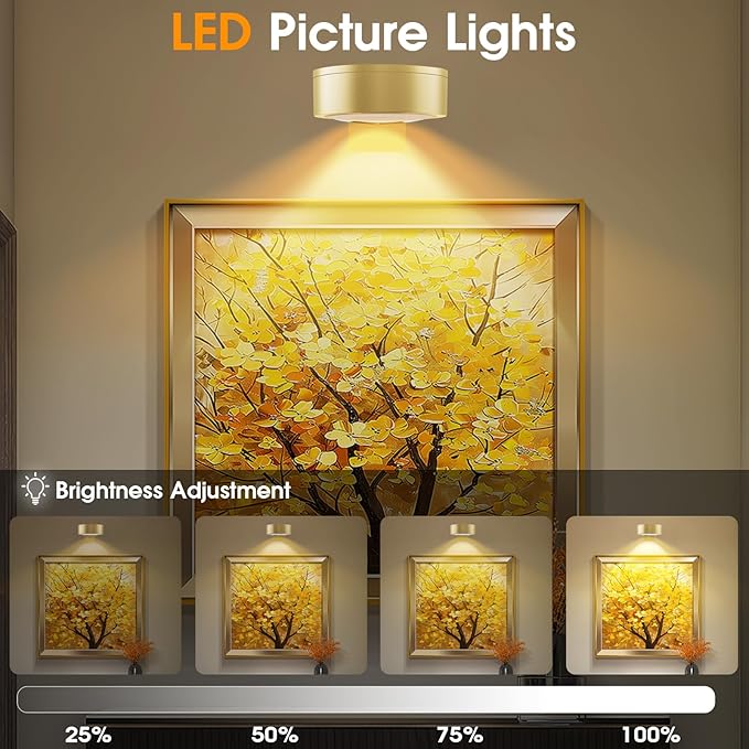 RGB Picture Light Battery Operated Painting Lights for Wall Wireless Magnetic Display Art Light with Remote Controls,Dimmable&Timer for Art Frame Artworking,6Pack Gold