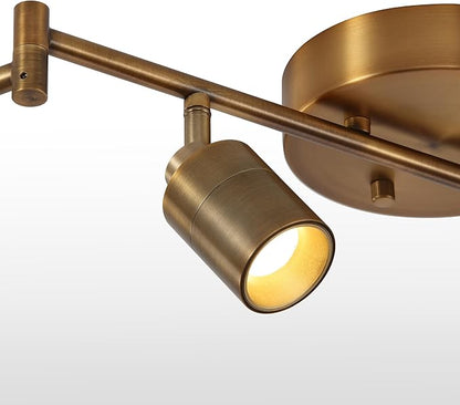 Shura Brushed Brass 6-Light Swivel Track Light with Rotatable Heads & Adjustable Arms, Integrated LED Bulbs, 5 ft. Ceiling Track Lighting Kit, 3000K, 3000 Lumens