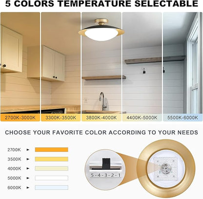 Dimmable Modern Semi Flush Mount Ceiling Light Fixture,Small Black and Gold LED Glass Shade Kitchen Ceiling Lights,5CCT In One Light Fxiture for Hallway Entryway Bedroom Laundry Room Foyer(15.75in)