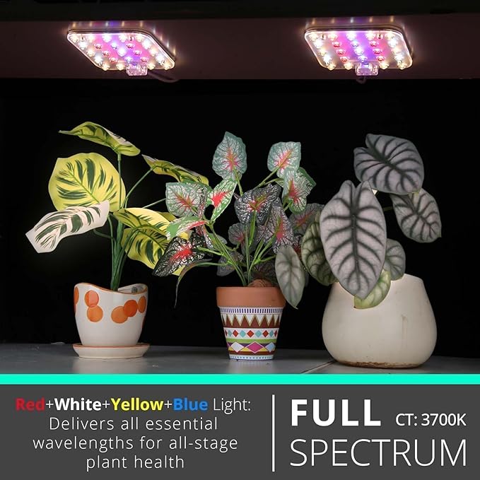 Full Spectrum LED Grow Light for Indoor Plants, 2 Panels 10W with 6/12/16h Timer Dimmable Plant Lights for Flower Veg Plant Growth USB, Pinkish White, 1-Pack