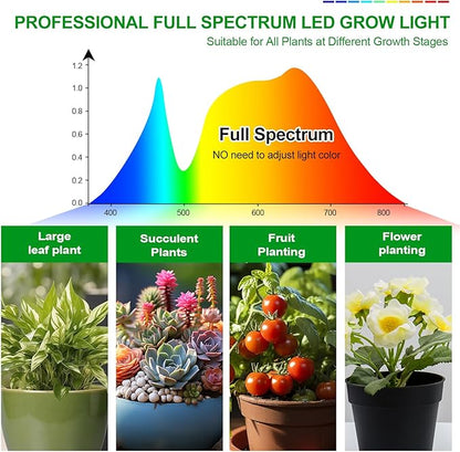 5Head Desk Grow Lights for Indoor Plant, Seed Starting, Bonsai, Full Spectrum Plant Grow Lamp, 4/8/12/16/20H Timer, 45 Watt Power Draw, NO Need Adapter, Adjustable Height(16"-24")