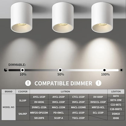 OKELI Modern LED Cylinder Ceiling Lights, White Dimmable Hallway Living Room Kitchen Flush Mount Ceiling Lamps COB 20W 4000K 3Pack