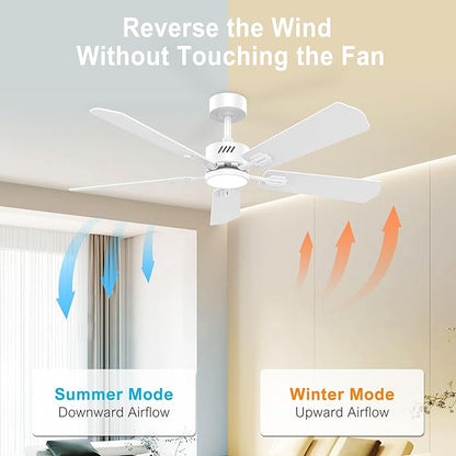 DAMINY 52 inch Ceiling Fan with Light,6CCT,5 Blade,Low Profile Ceiling Fan with Light and Remote Control,Downrods,White,Living Room,Indoor/Outdoor Use