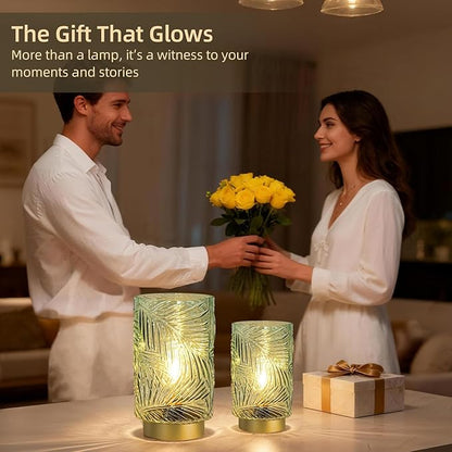 Battery Operated Table Lamp, Cordless Lamps for Home Decor, Battery Powered Nightlight with LED Bulb with Timer, Decorative Lights for Living Room Bedroom Tabletop Entryway Centerpiece Gift(Small LG)
