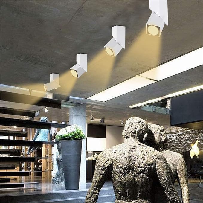 LED Indoor Ceiling Spotlight 360°Adjustable Wall Light - Art DIY Spotlights -12W Warm White Light 3000K Ceiling Downlight -Surface Mounted COB Lighting Swivel lamp (White-3000K)
