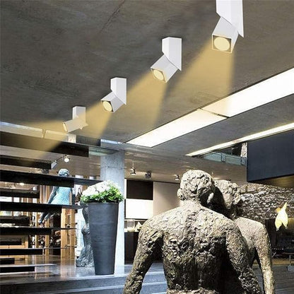 LED Indoor Ceiling Spotlight 360°Adjustable Wall Light - Art DIY Spotlights -12W Warm White Light 3000K Ceiling Downlight -Surface Mounted COB Lighting Swivel lamp (White-3000K)