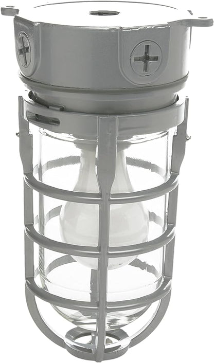Woods L1706 Vandal Resistant Security Light With Ceiling Mount (150W Incandescent Bulb; Silver)