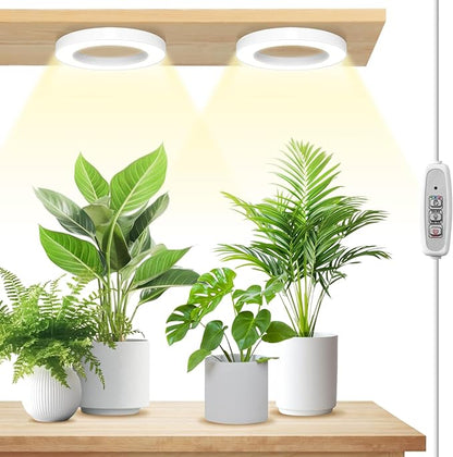 LORDEM 6.3” Ceiling Grow Light for Indoor Plants, 144 LEDs Full Spectrum Halo Grow Lamp, Under Cabinet Plant Lamp with 4/8/12H Auto Timer, 4 Dimmable Brightness Levels, Ideal for Pot Plants, Dual Head
