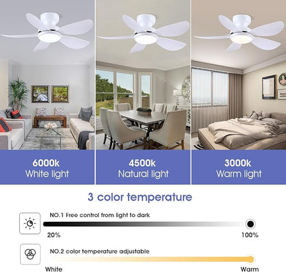 Kviflon 36 Inch Modern Ceiling Fans with Lights, Small Flush Mount Ceiling Fans, Remote/APP Control, 5 Reversible Curved Blades, 6 Speeds, 3 CCT Dimmable Lights for Kitchen Bedroom, White