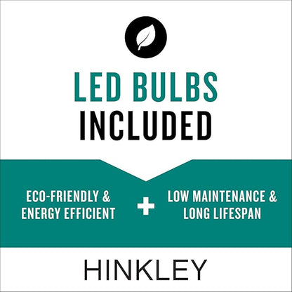 Hinkley Shelter Medium Outdoor Wall Mount Lantern, Minimalist Style, Dark Sky-Compliant, Solid Aluminum/Clear Seedy Glass, Buckeye Bronze
