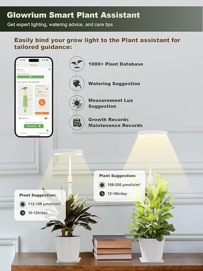 GLOWRIUM Smart LED Grow Lights for Indoor Plants G4, 12W Full Spectrum 3500K with Grow lamp, Bluetooth App Control, 10-Level Dimming, Gooseneck, Height Adjustable 16"-23", Auto Timer, (White 12W)
