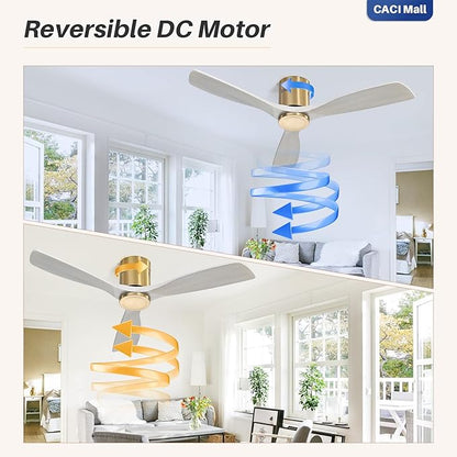 CACI Mall 52 Inch Solid Wood Ceiling Fan without Light, Flush Mount, 3 Blade, Low Profile, Modern, Outdoor/Indoor Ceiling Fans No Light for Bedroom/Farmhouse/Patio
