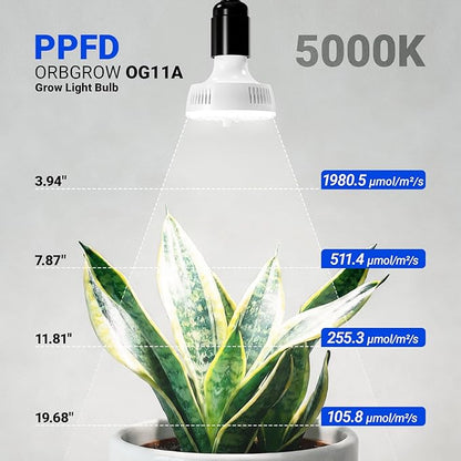 Barrina Orbgrow OG11A4 Clip On Grow Lights for Indoor Plants, Integrated Stepless Dimming & Timing, 5000K 44W(4 x 11W, 400 Watt Equiv), Full Spectrum 4-Gooseneck with E26 Plant Light Bulbs