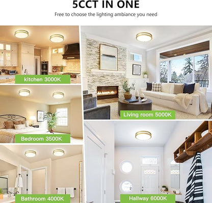 Flush Mount Ceiling Light - 2 Pack 36W 3000K/3500K/4000K/5000K/6000K Dimmable Led Ceiling Light Fixture for Kitchen Hallway Bedroom Bathroom (2, Brushed Gold, 12 Inch)