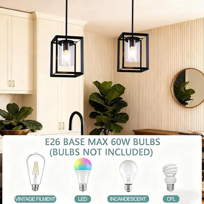 2 Pack Black Pendant Lights for Kitchen Island, Farmhouse 1-Light Iron Cage Metal Hanging Light with Clear Glass Shade, Industrial Lighting Fixtures for Living Room Bedroom Hallway Foyer