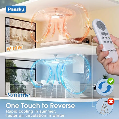 Passky Ceiling Fans with Lights, 52 inch Sleek Ceiling Fan with Light and Remote Control, 3CCT, Dimmable, Reversible, Noiseless, Silver Ceiling Fan for Bedroom, Living Room